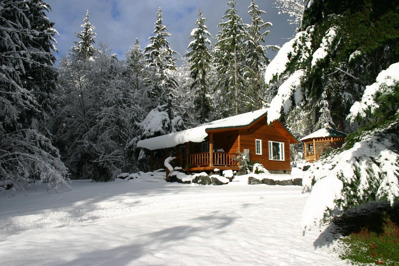 Copper Creek Inn Ashford Extérieur photo